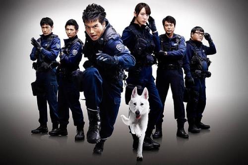 德比 Derby假证制作